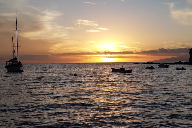 2 hour trip to see whales dolphins puerto colon adeje - Two hours for wildlife and coast