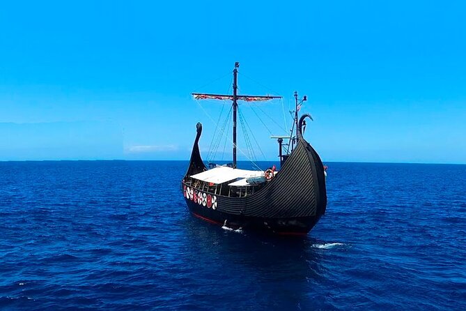 2h Viking Cruise Whales & Dolphins Watching - Should you book the Viking Ragnarok cruise?