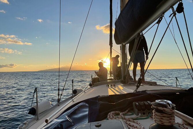 3-Hour Cetacean Watching and Snorkeling Tour in Tenerife - Whale watching along Tenerife’s southwest coast