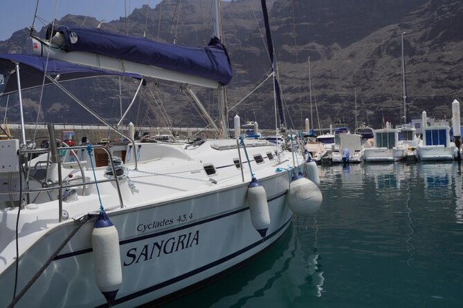 3-Hour Cetacean Watching and Snorkeling Tour in Tenerife - Swimming and snorkeling at Masca
