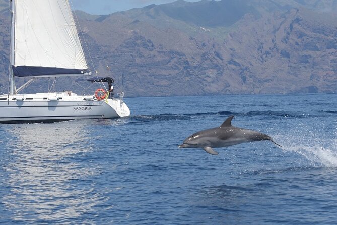 3-Hour Cetacean Watching and Snorkeling Tour in Tenerife - What the three-hour format means