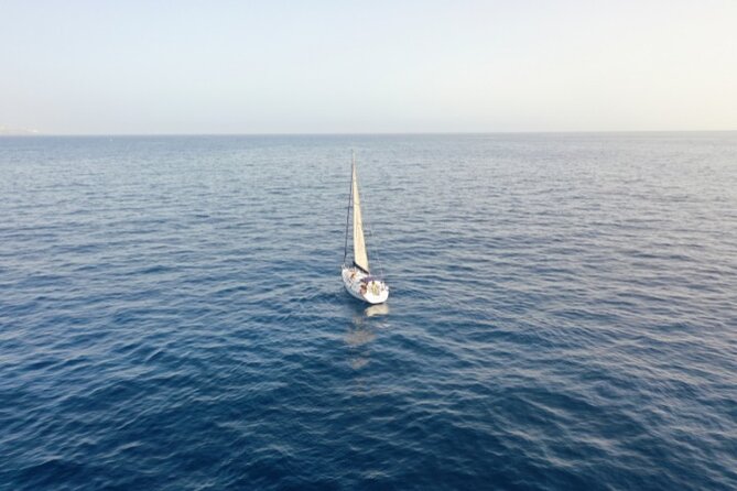 3-Hour Cetacean Watching and Snorkeling Tour in Tenerife - Is $21 good value?