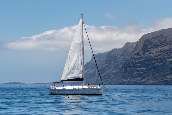 3-Hour Cetacean Watching and Snorkeling Tour in Tenerife - The cliffs, tapas, and a slower stretch at sea