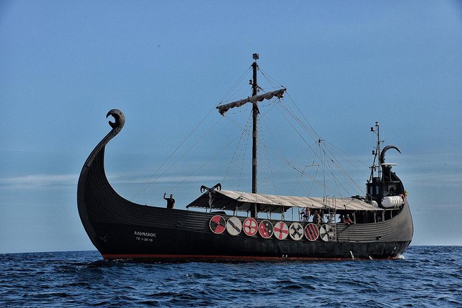 3h Viking Cruise with Drinks, Whales watching & Swimming Time - Viking games, music, and a lively crew