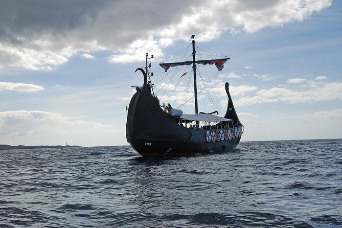 3h Viking Cruise with Drinks, Whales watching & Swimming Time - What the $45.95 price includes
