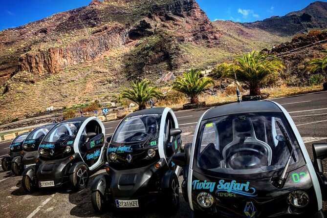 4 Hours Eco Safari Tour with Electric Car in Tenerife - A Twizy ride into Tenerife’s inland villages