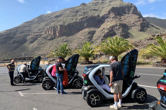 4 Hours Eco Safari Tour with Electric Car in Tenerife - Tamaimo: coffee and a first taste of local life
