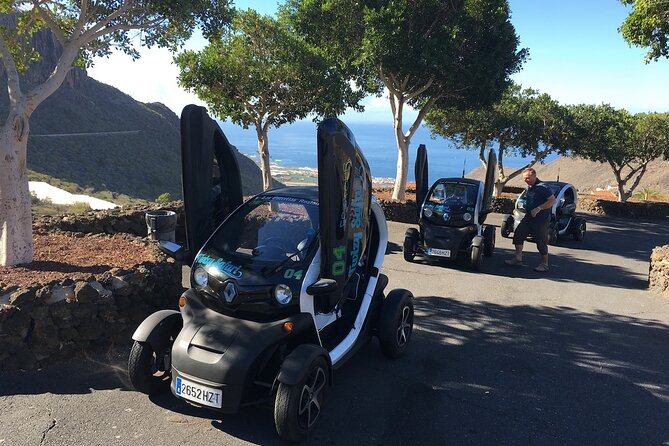 4 Hours Eco Safari Tour with Electric Car in Tenerife - Puerto de Santiago: bananas from plant to harvest
