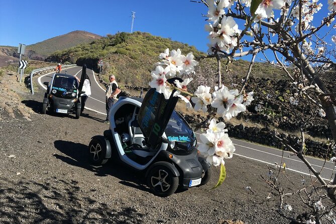 4 Hours Eco Safari Tour with Electric Car in Tenerife - Is $96.79 good value?