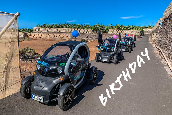 4 Hours Eco Safari Tour with Electric Car in Tenerife - Should you book the Tenerife Twizy safari?
