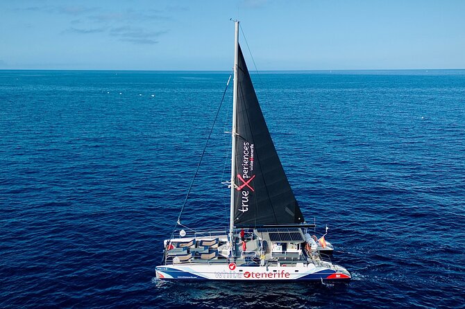 5 hr watching and listening whales and dolps. Visit Los Gigantes - A swim and snorkel at Masca Bay