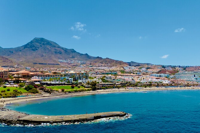 5 hr watching and listening whales and dolps. Visit Los Gigantes - Weather, cancellation, and practical planning