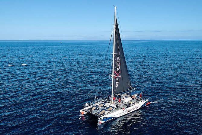5 hr watching and listening whales and dolps. Visit Los Gigantes - The catamaran and the size of the group
