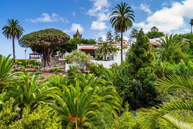 6 Hrs Private Tour In Tenerife - La Laguna: colonial streets in a compact center