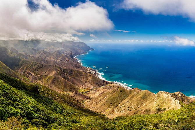 6 Hrs Private Tour In Tenerife - What the private format adds