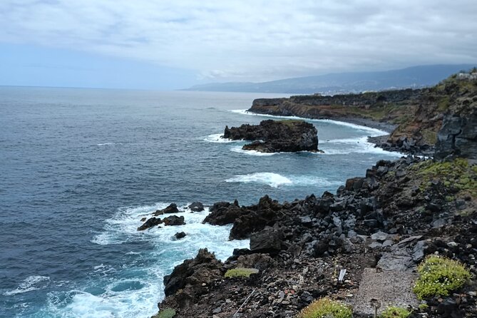 6hrs Private Tour in North Coast of Tenerife - A six-hour route along Tenerife’s north shore