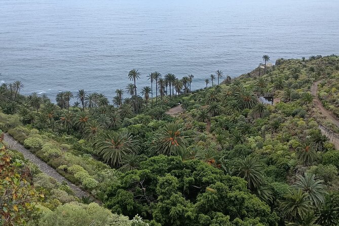 6hrs Private Tour in North Coast of Tenerife - Playa del Socorro: the wilder edge of the coast