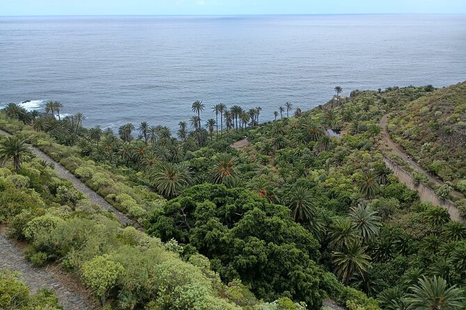 6hrs Private Tour in North Coast of Tenerife - Guides, flexibility and the private format