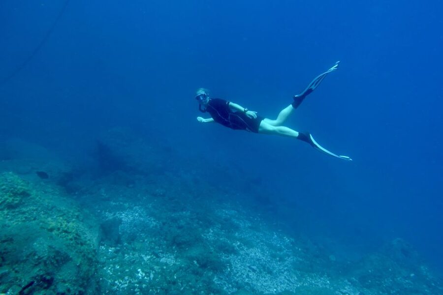 Abades: Guided Snorkeling Tour with Photos - Starting at Playa Abades
