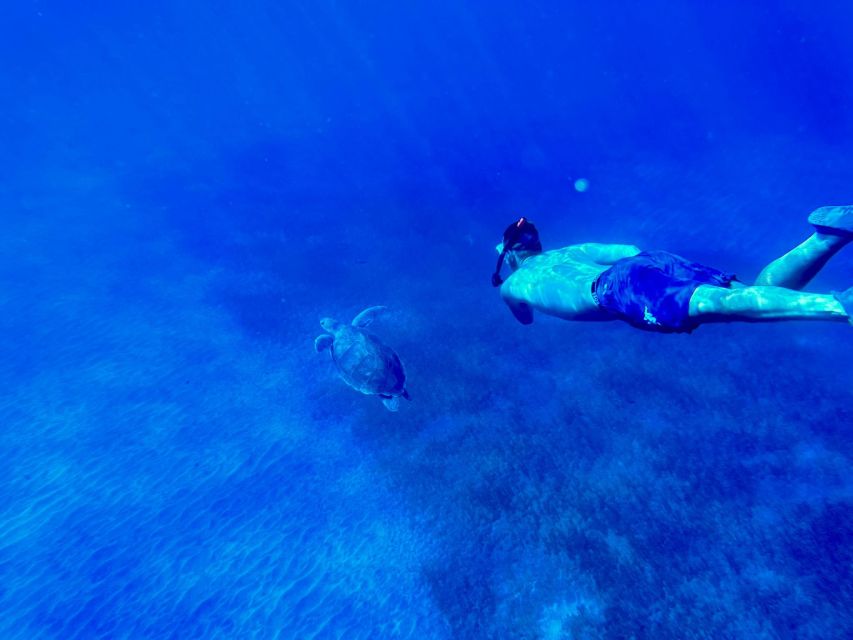 Abades: Guided Snorkeling Tour with Photos - Getting fitted and feeling at ease