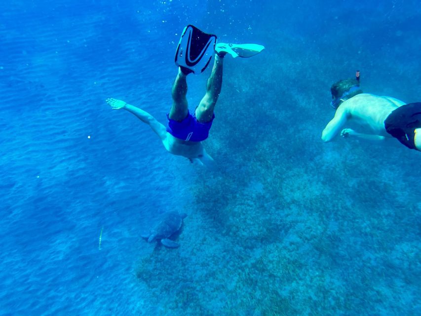 Abades: Guided Snorkeling Tour with Photos - Support for children and nervous swimmers