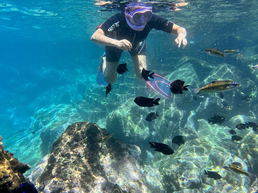 Abades: Guided Snorkeling Tour with Photos - Photos, price and what the cost covers
