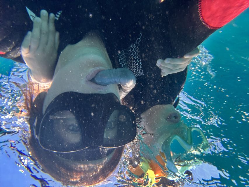 Abades: Guided Snorkeling Tour with Photos - FAQ