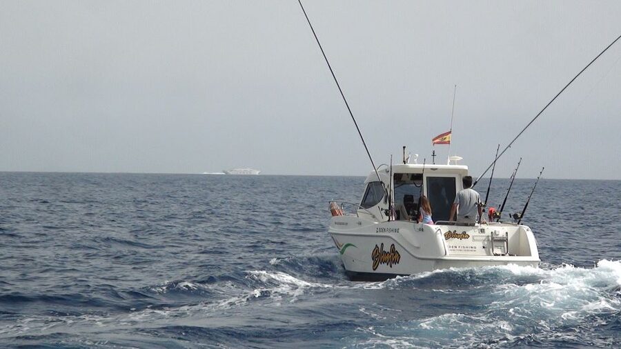 Adeje: 3.5–Hour Professional Fishing Experience - What makes this fishing trip worth considering