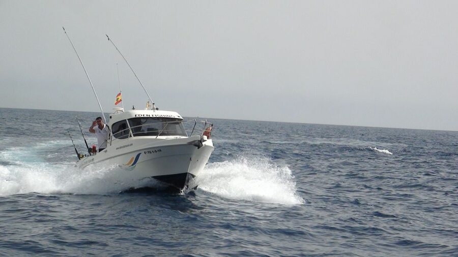 Adeje: 3.5–Hour Professional Fishing Experience - Out from Puerto Colón, with the coast in view