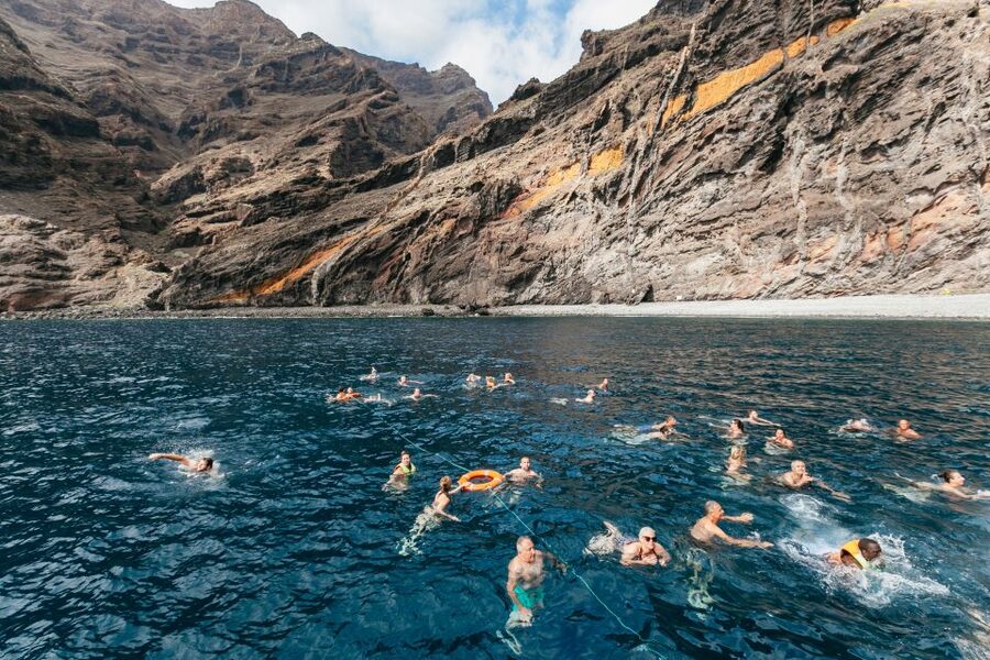 Adeje: Whale and Dolphin Watching Cruise with Lunch and Swim - The swim and lunch stop
