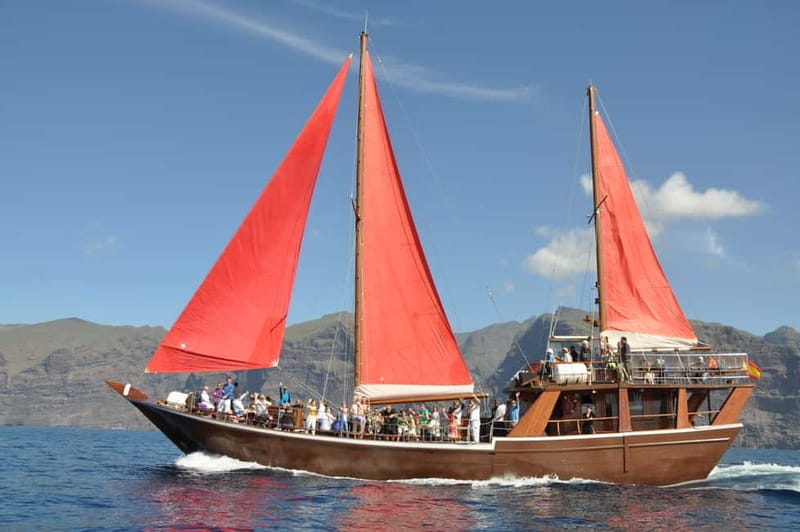 Adeje: Whale Watching Tour to Los Gigantes with lunch & swim - From Puerto Colón to the whale grounds
