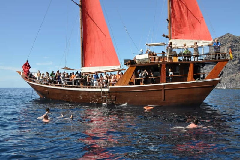 Adeje: Whale Watching Tour to Los Gigantes with lunch & swim - Is $63 good value?