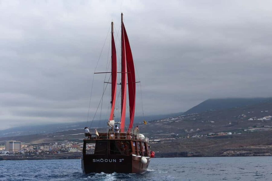 Adeje: Whale Watching Tour to Los Gigantes with lunch & swim - Who will enjoy this boat trip most?