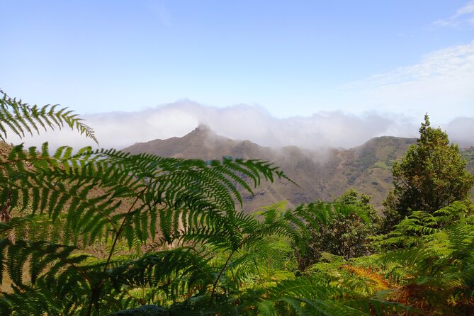 Amazing Anaga - FAQ