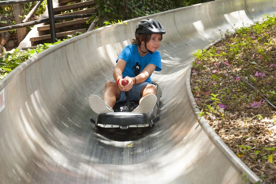 Arona: Entry Ticket to Tenerife's Jungle Park Zoo - A zoo that feels more like a walk through the jungle