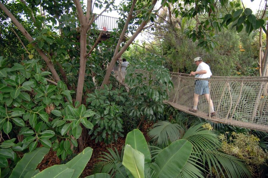 Arona: Entry Ticket to Tenerife's Jungle Park Zoo - The walking, maps and family logistics