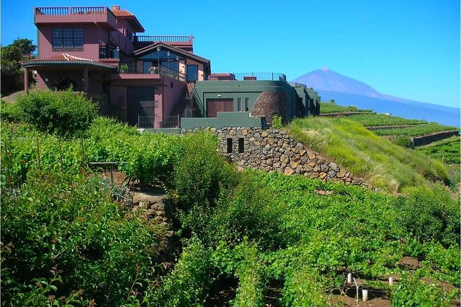 Bodegas Monje Winery Ticket w/Wine Tasting & Mojo Sauce Workshop - Is $55.51 good value?