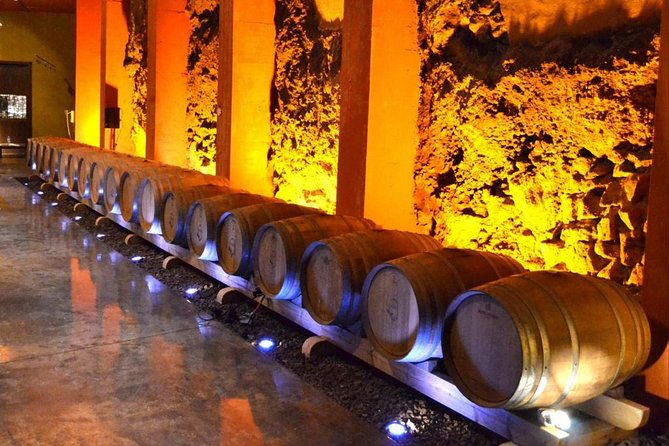 Bodegas Monje Winery Ticket w/Wine Tasting & Mojo Sauce Workshop - Should you book Bodegas Monje?