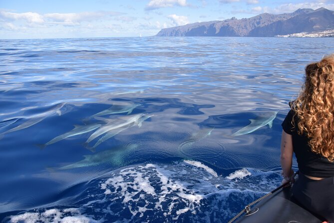Bonadea II Ecological Whale Watching, 2 hours - Before you book