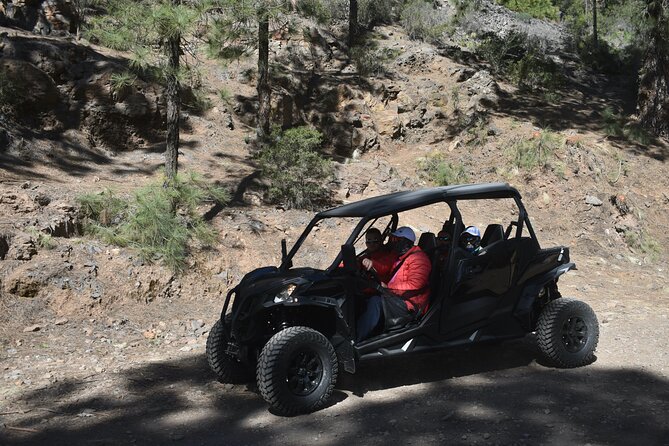 Buggy tour to Teide in Tenerife - Guides, group size, and the rhythm of the ride