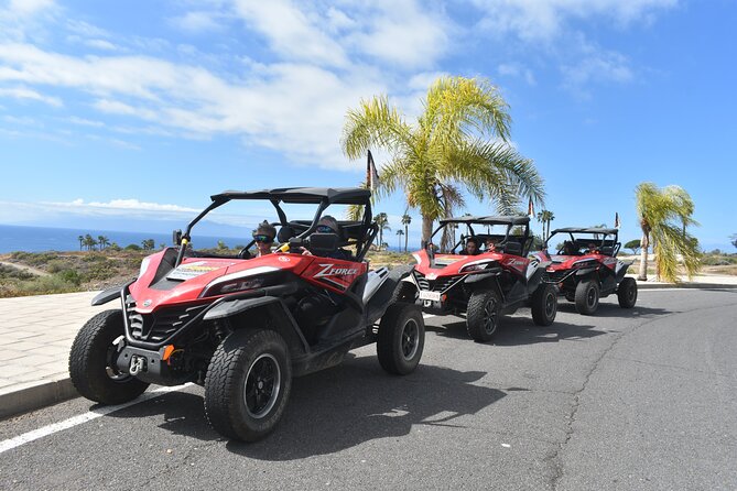 Buggy tour to Teide in Tenerife - FAQ