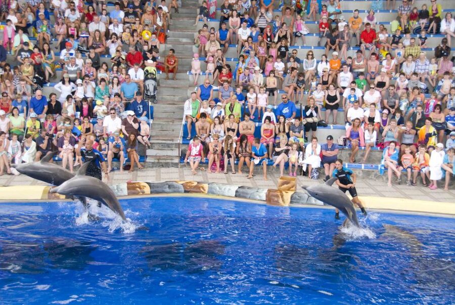 Costa Adeje: Aqualand Water Park Ticket with Dolphin Show - Food, lockers and the costs beyond admission