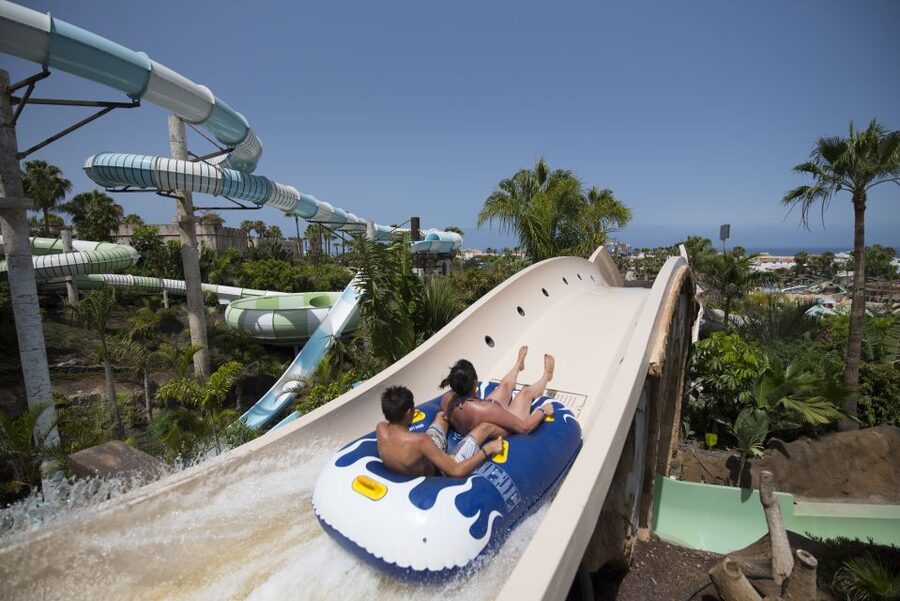Costa Adeje: Aqualand Water Park Ticket with Dolphin Show - Should you book Aqualand Costa Adeje?