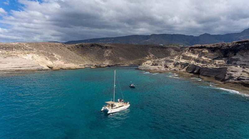 Costa Adeje: Catamaran Tour, Snorkelling, Snacks & Drinks - Wildlife: a welcome possibility, not the plan