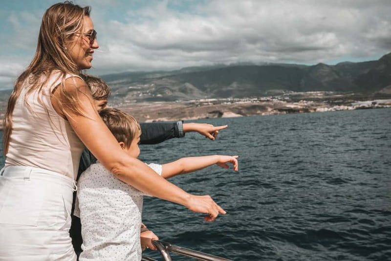Costa Adeje: Catamaran Tour, Snorkelling, Snacks & Drinks - Practical details to keep in mind