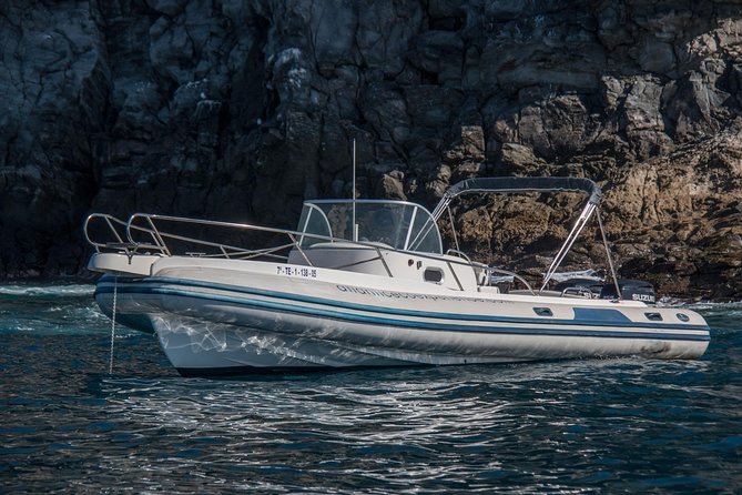 Costa Adeje | Cetacean sighting in Tenerife South - What two and a half hours feels like