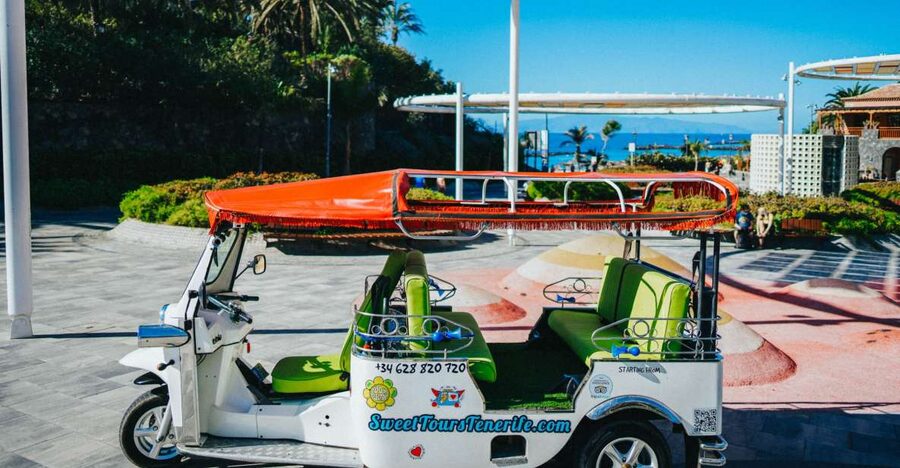 Costa Adeje: Double Tuk Tuk Tour - Who should book this Costa Adeje tour?