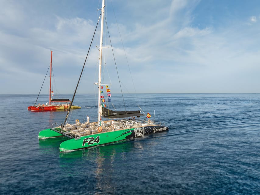 Costa Adeje: Masca and Los Gigantes Whale Watching Cruise - Los Gigantes and Masca make the return route worthwhile