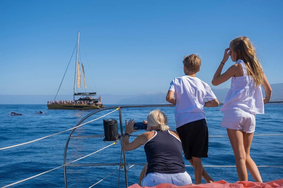 Costa Adeje: Masca and Los Gigantes Whale Watching Cruise - Lunch, drinks, and the question of comfort