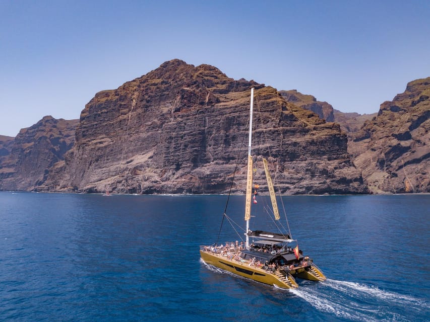 Costa Adeje: Masca and Los Gigantes Whale Watching Cruise - Should you book the Masca and Los Gigantes cruise?